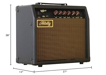 Ashton 30W ベース用アンプ NANOBASS X4 | PHIL JONES BASS
